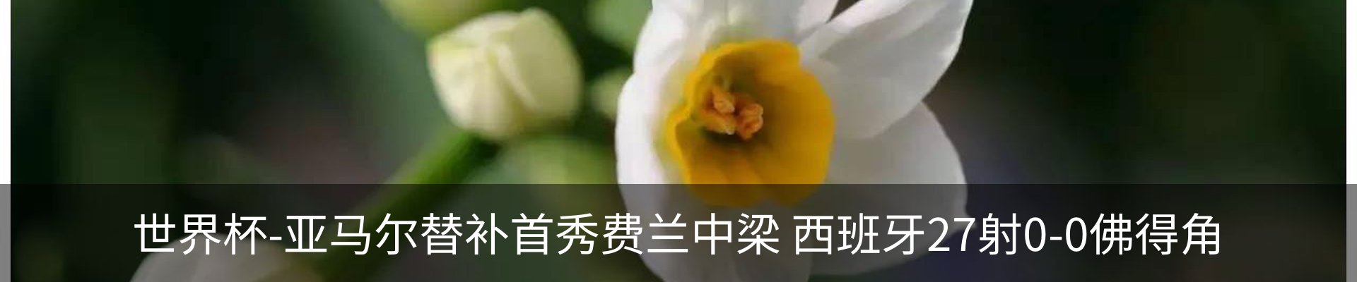 资讯中心